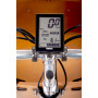 Vélo électrique Babboe Curve Mountain eCargo triporteur - moteur central Yamaha