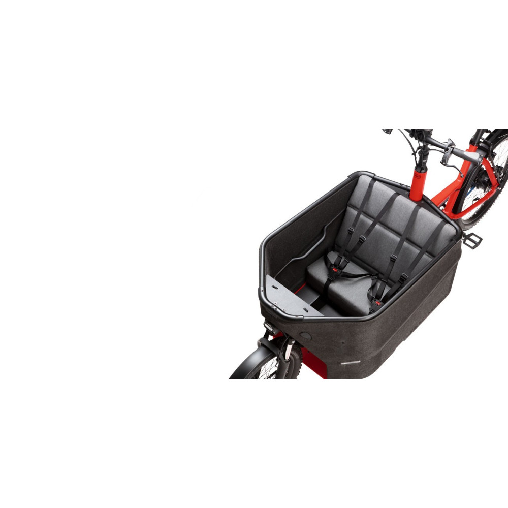 VÉLO ÉLECTRIQUE CARGO RIESE & MULLER PACKSTER 70 TOURING 2021 • Vélozen
