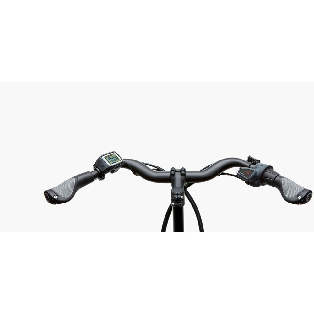 VÉLO ÉLECTRIQUE CARGO RIESE & MULLER PACKSTER 70 TOURING 2021 • Vélozen
