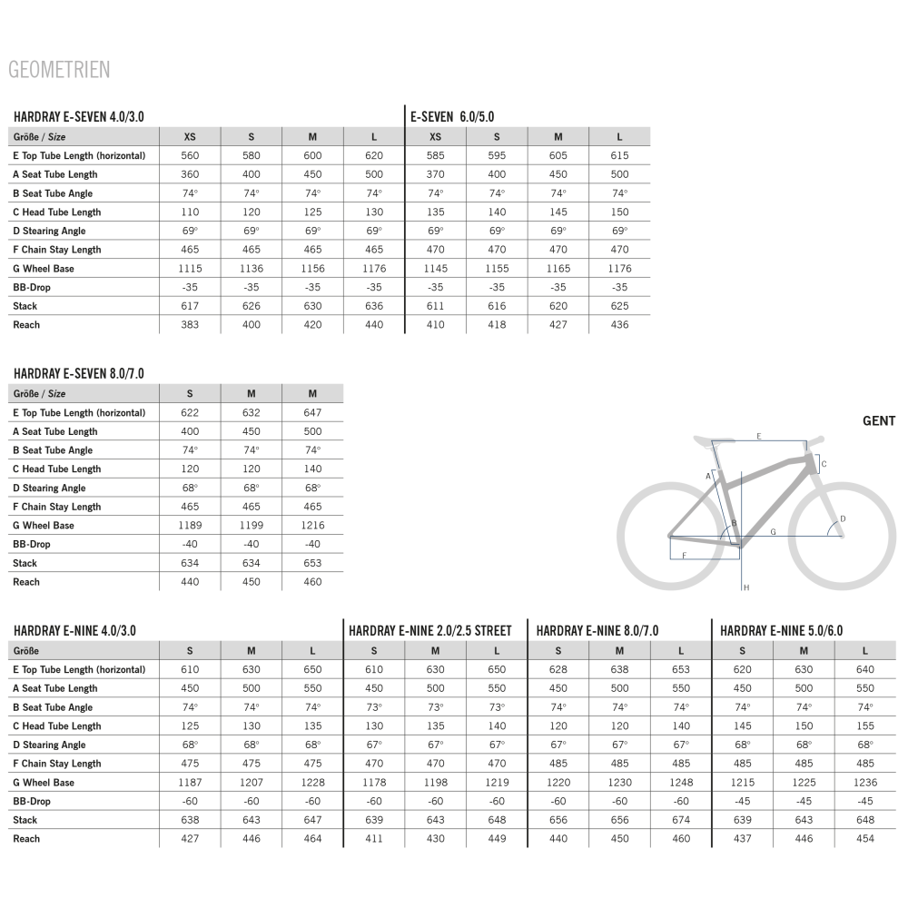 VÉLO ÉLECTRIQUE R RAYMON HardRay E-Nine 8.0 2021 • Vélozen