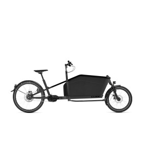 CARGO DUAL HYBRID 2020