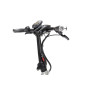Vélo électrique cargo compact TERN HSD S+ 2021 • Vélozen