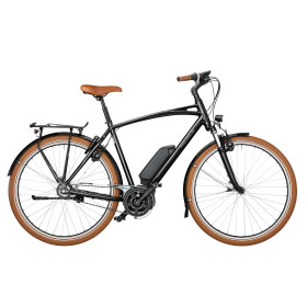  Cruiser Silent 2022