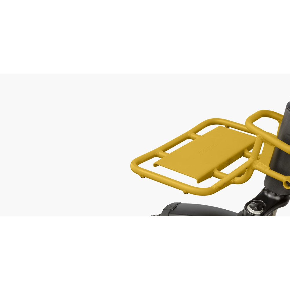 VÉLO ÉLECTRIQUE CARGO RIESE & MULLER Multicharger GT Rohloff 2022 • Vélozen