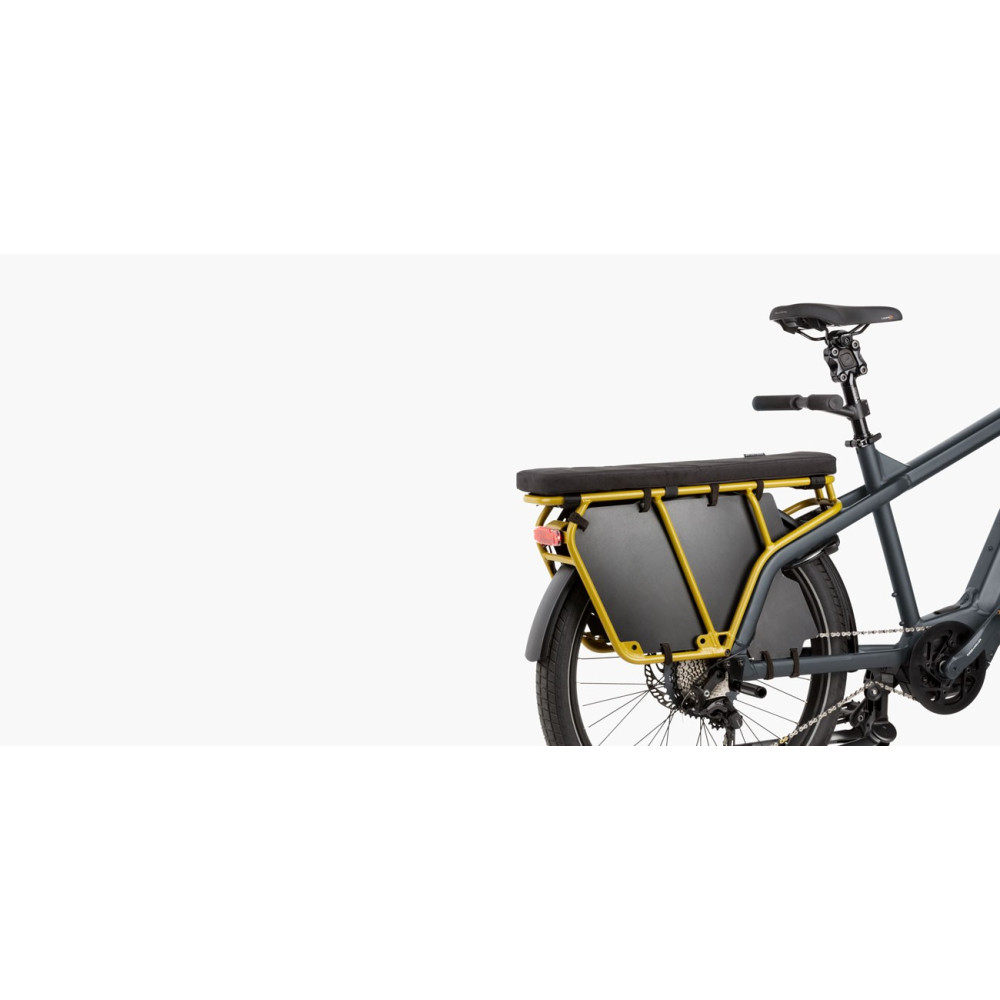 VÉLO ÉLECTRIQUE 45 KMH RIESE & MULLER Multicharger GT Rohloff HS 2022 • Vélozen