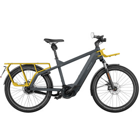  Multicharger GT Rohloff HS 2022