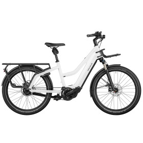  Multicharger Mixte GT Rohloff 2022
