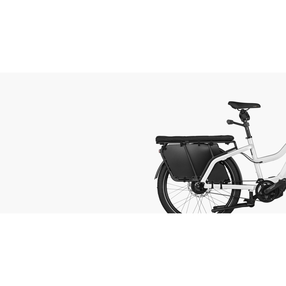 VÉLO ÉLECTRIQUE CARGO RIESE & MULLER Multicharger Mixte GT Rohloff 2022 • Vélozen