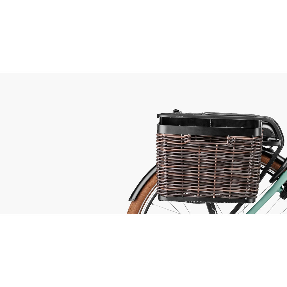 VÉLO ÉLECTRIQUE RIESE & MULLER Swing City 2022 • Vélozen
