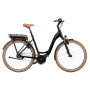VÉLO ÉLECTRIQUE RIESE & MULLER Swing City 2022 • Vélozen
