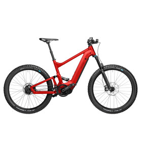  Delite Mountain Rohloff 2022