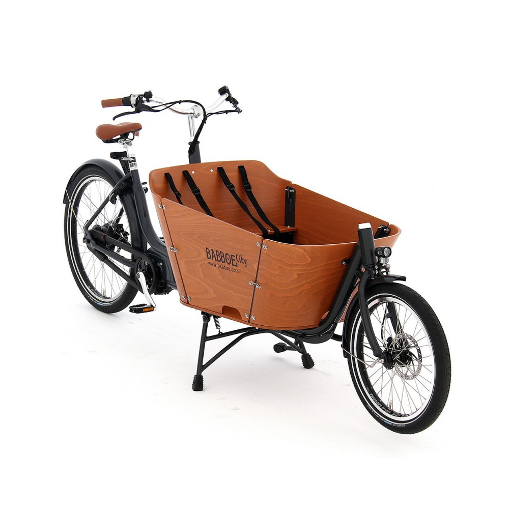 City Mountain biporteur électrique 2021