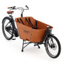 City Mountain biporteur électrique 2021