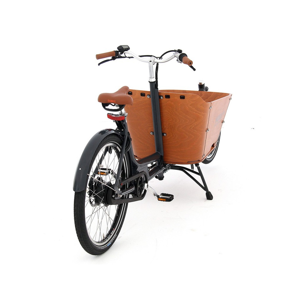 City Mountain biporteur électrique 2021