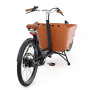 City Mountain biporteur électrique 2021