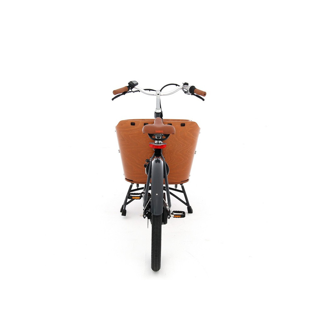 City Mountain biporteur électrique 2021