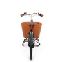 City Mountain biporteur électrique 2021