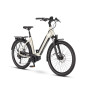 Vélo électrique WINORA SINUS 9 2021 • Vélozen