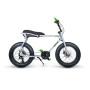 Vélo électrique fatbike RUFF Cycles Lil'Buddy 2021 • Vélozen