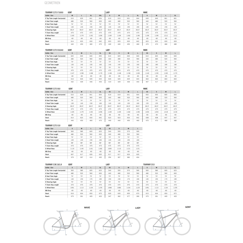VÉLO ÉLECTRIQUE R RAYMON TourRay E 6.0 2022 • Vélozen