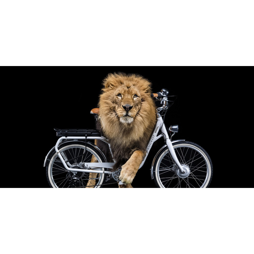 Vélo électrique Peugeot eLC01 eLegend Central 26" 2022