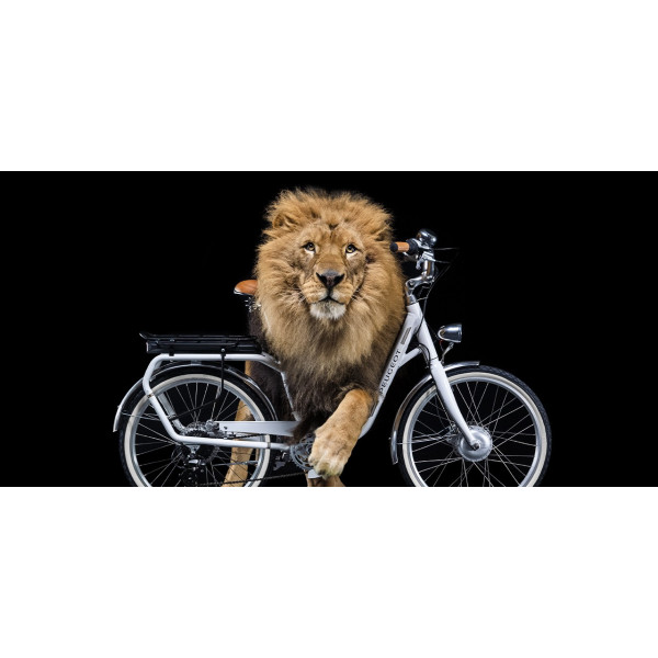 Velo electrique online peugeot homme