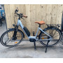 e-CITY STEPS D8 26" 2022