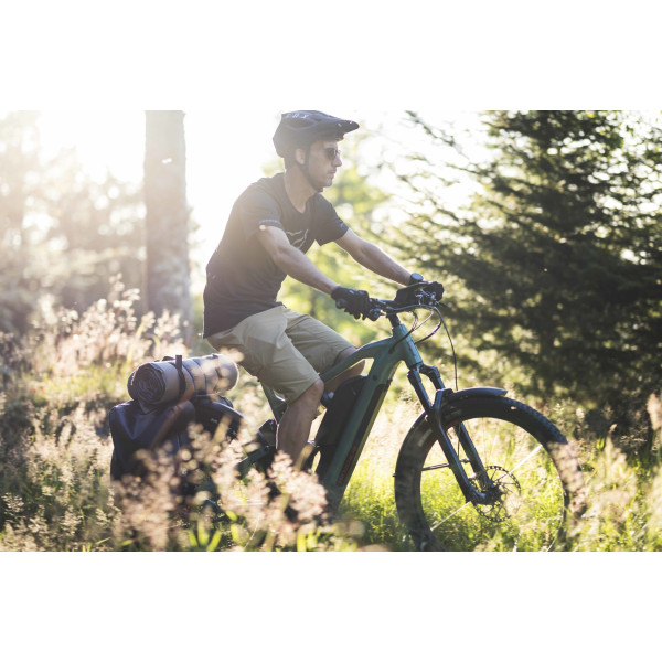 Vtt assistance clearance electrique moustache