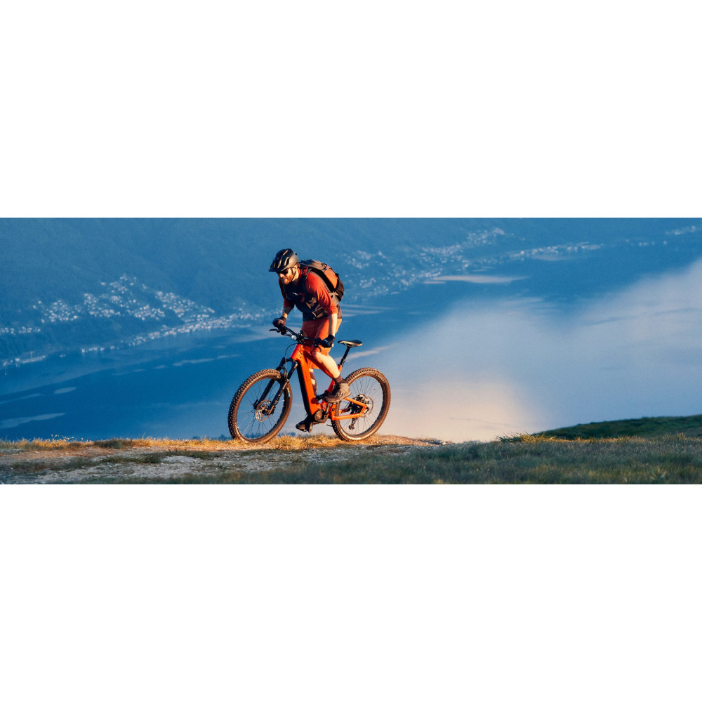 VÉLO ÉLECTRIQUE RIESE & MULLER Delite Mountain Touring 2023 • Vélozen