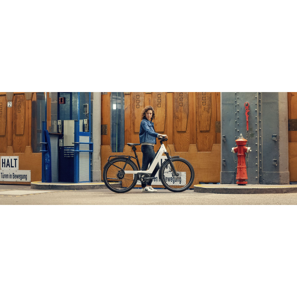 VÉLO ÉLECTRIQUE RIESE & MULLER Homage GT Rohloff 2023 • Vélozen