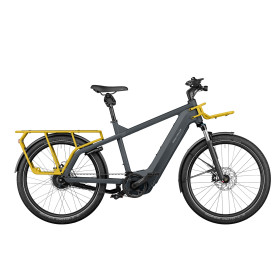 VÉLO ÉLECTRIQUE RIESE & MULLER Multicharger GT Vario 750 2023 • Vélozen
