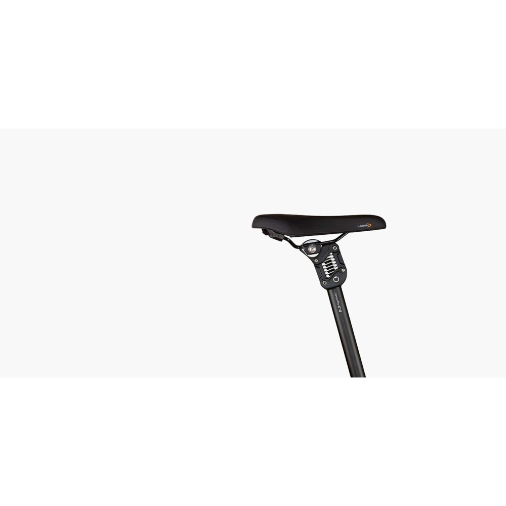 VÉLO ÉLECTRIQUE RIESE & MULLER Tinker2 Vario 2023 • Vélozen
