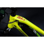 VTT électrique enfant 24" HAIBIKE ALLTRACK KIDS 2023 
