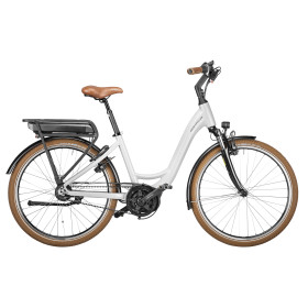 VÉLO ÉLECTRIQUE RIESE & MULLER Swing Rücktritt 2023 • Vélozen VÉLO ÉLECTRIQUE