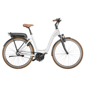 VÉLO ÉLECTRIQUE RIESE & MULLER Swing Silent 2023 • Vélozen VÉLO ÉLECTRIQUE