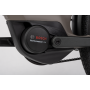 Sinus R5f 2024