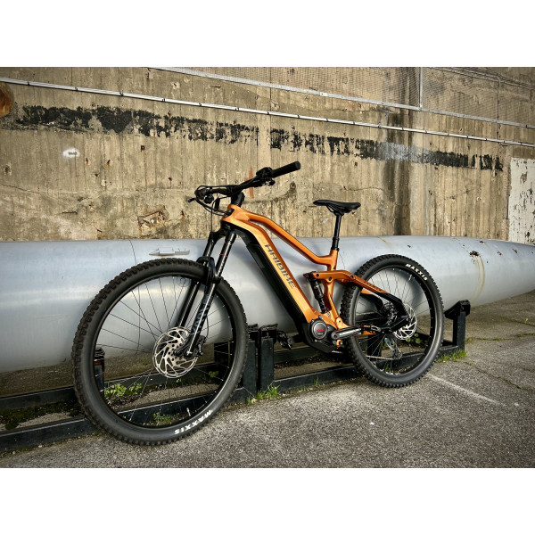 VTTAE HAIBIKE ALLMTN CF 6 2022