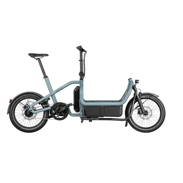 vélo électrique Riese & Müller Carrie City 2024