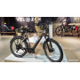 Raymon Tour Ray E5.0 occasion