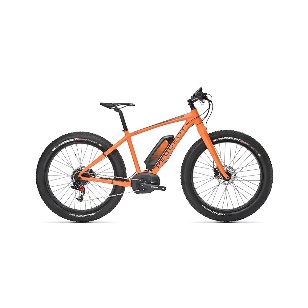 fatbike 2018