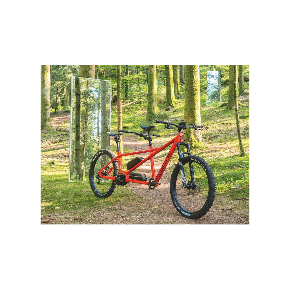 Tandem sales moustache electrique