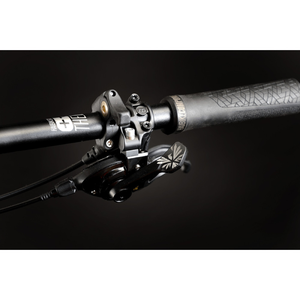 haibike xduro fullfatsix 10.0 2019