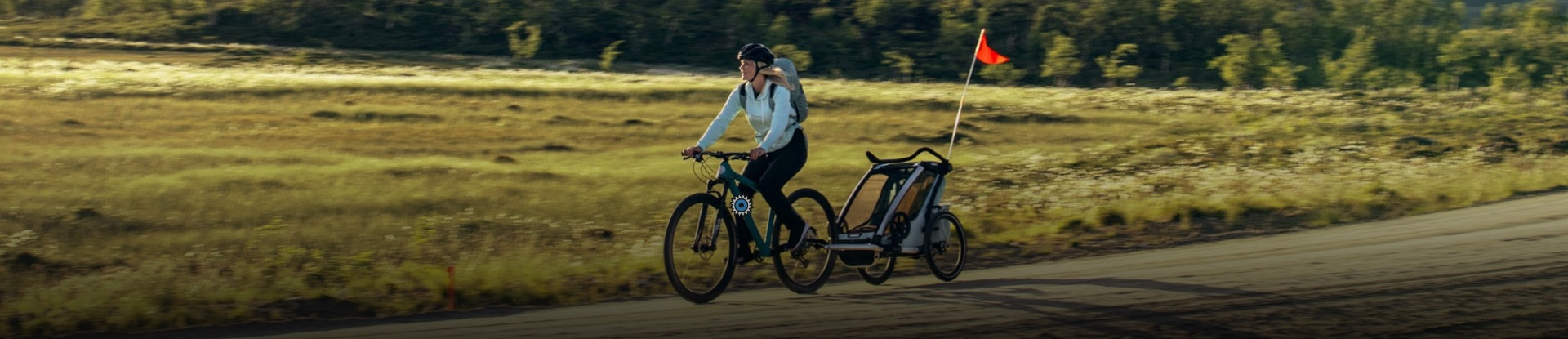 Remorque, chariot courses & caddie pour vélo électrique