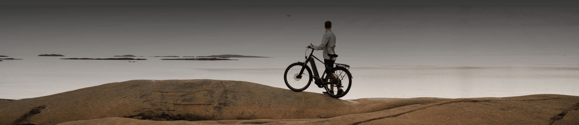 Soldes et Déstockage Vélo Electrique Kalkhoff