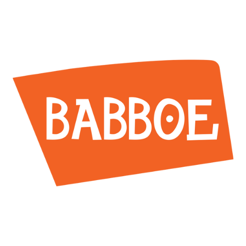 VÉLO ÉLECTRIQUE BABBOE CARGO TRIPORTEUR