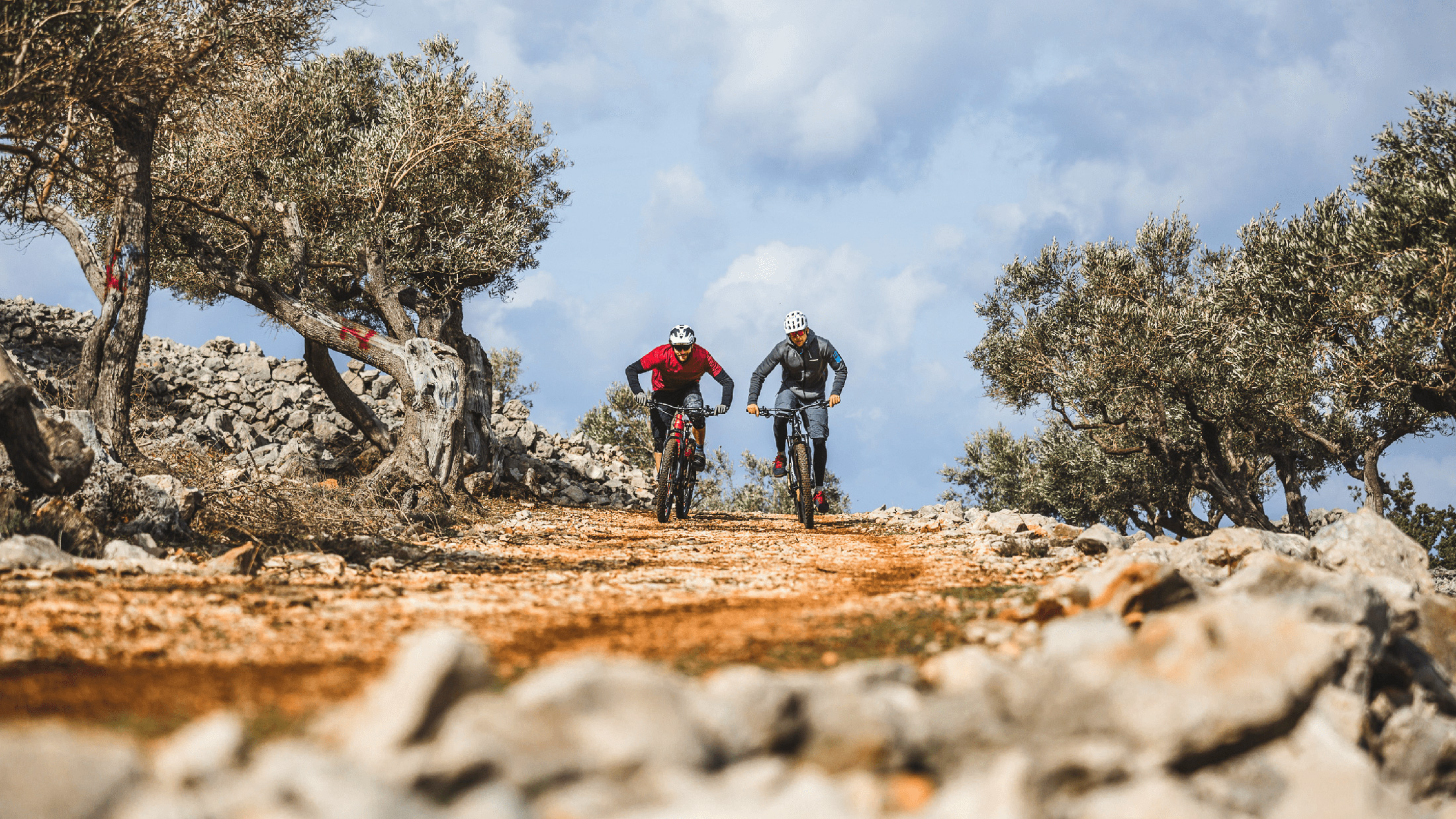 Haibike sduro 2025 hardseven 2.0 2019