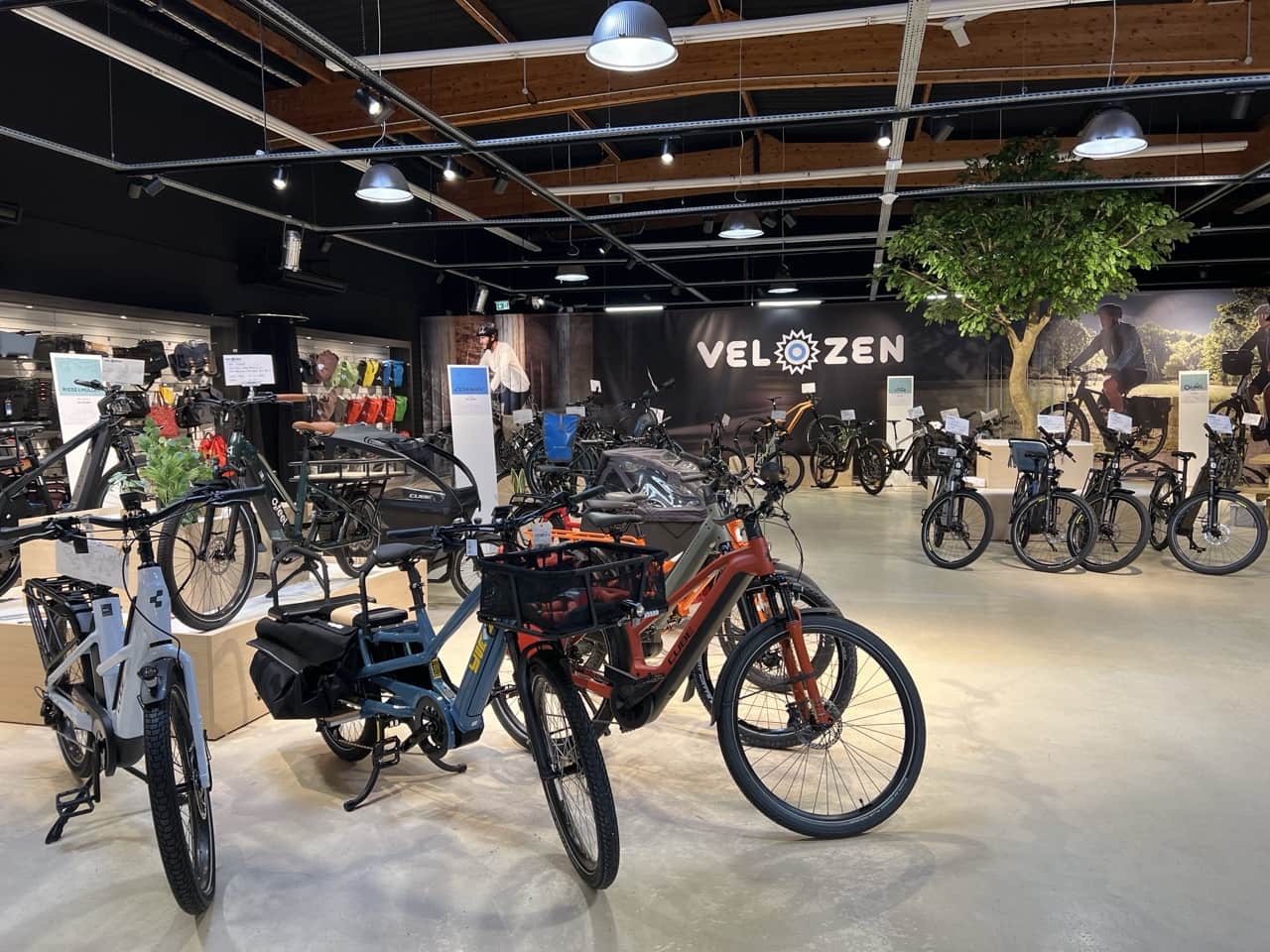 Intérieur du magasin Vélozen spécialiste du vélo électrique à Lorient
