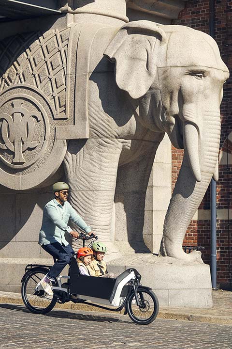 Transporter R&M l'entrée de gamme dans l’univers du vélo Cargo