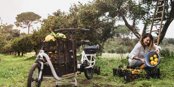 NOUVEAUTES YUBA 2020 ••• LE vélo cargo électrique SUPERCARGO, une conduite intui